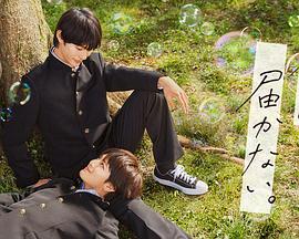 国产淫污免费视频